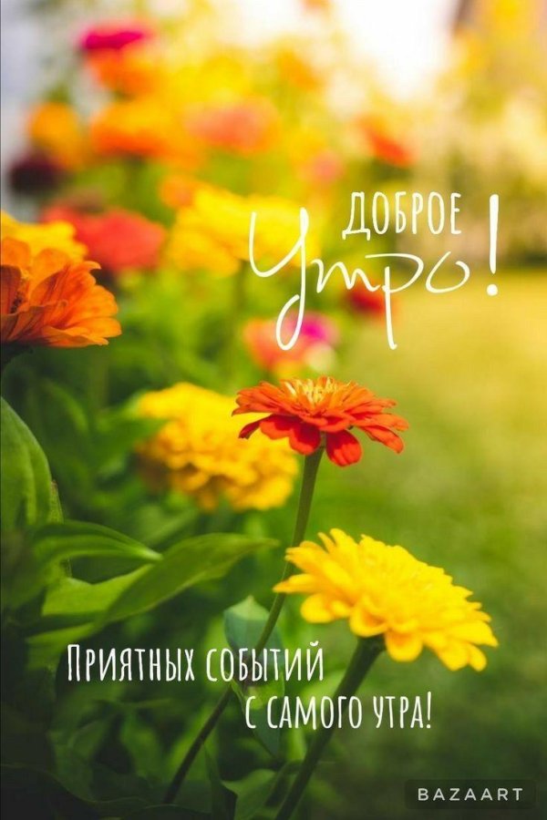 добра утра