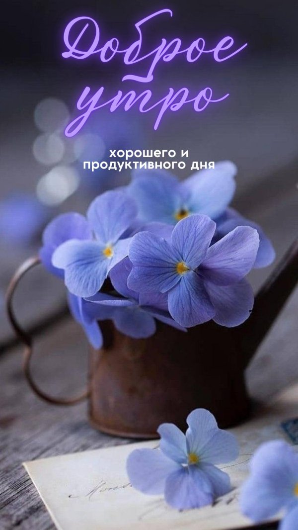 добрый день