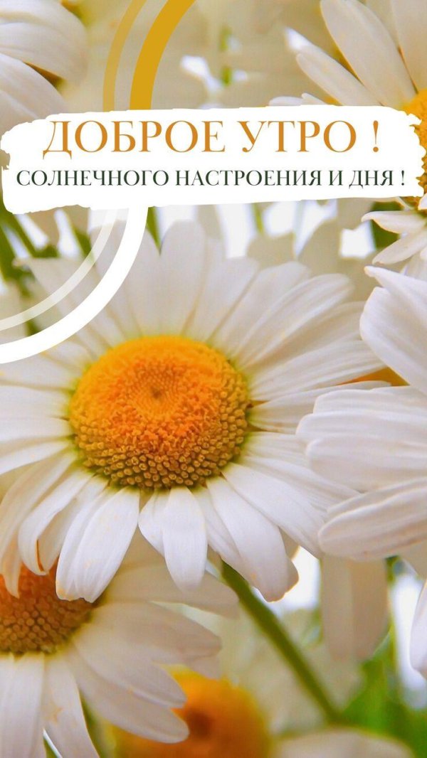 Доброе утро новые позитивные стильные