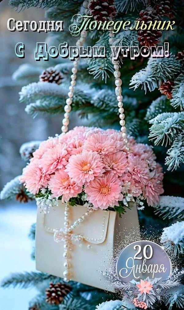 доброе зимнее утречко понедельника