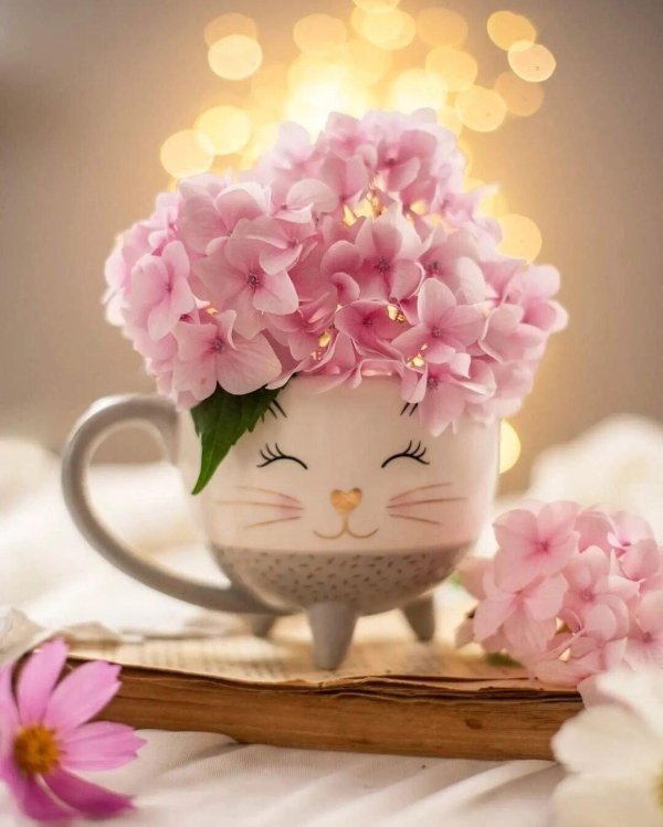 доброе утро жизнь прекрасна