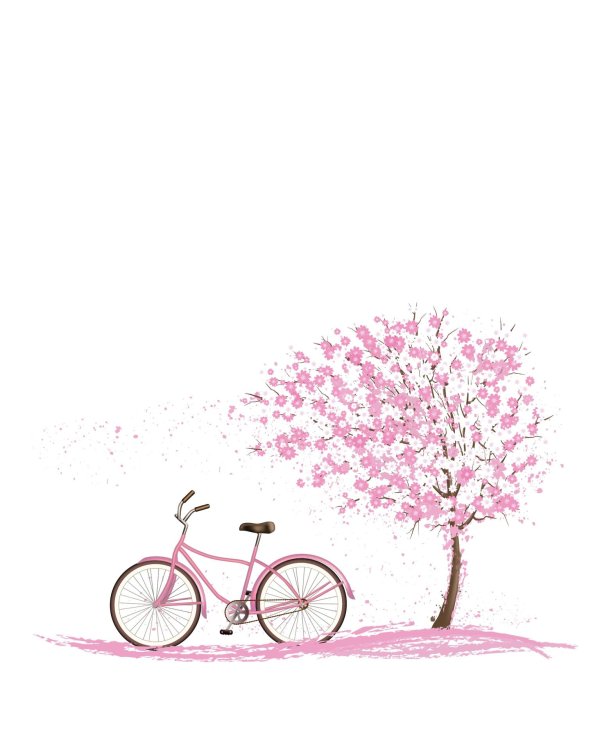 розовый велосипед