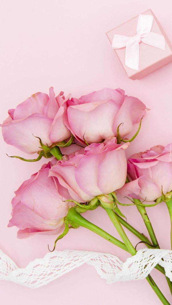 цветок happy birthday