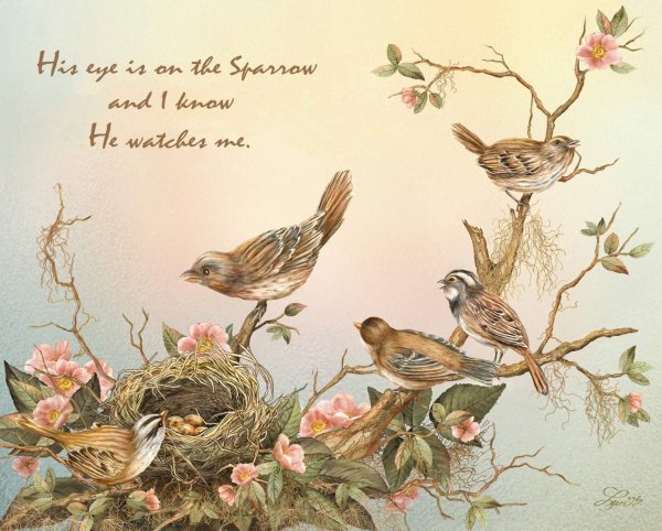 открытки с птицами