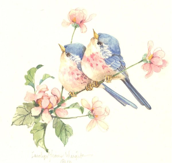 каролин шорс райт акварели