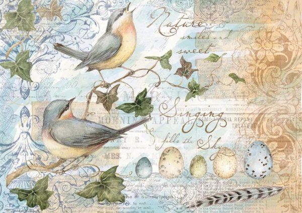 декупажная карта птицы