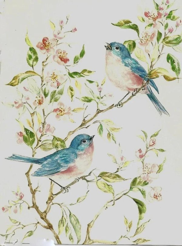 птичка акварель