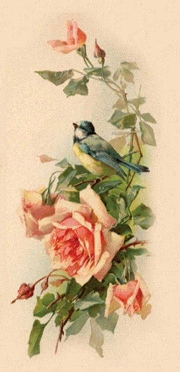 декупажная карта птички