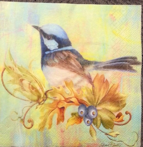 картины птиц