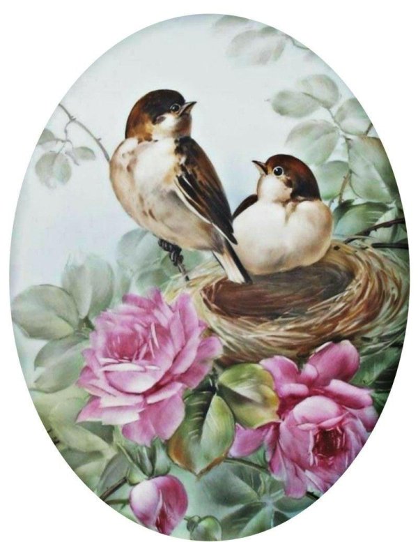 урсула банд тарелки птицы