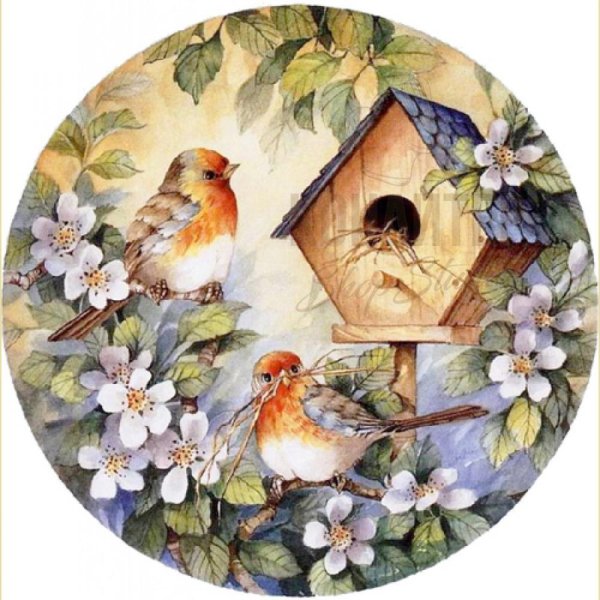 весенние птички