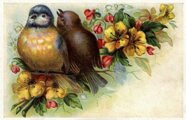 винтажные птицы