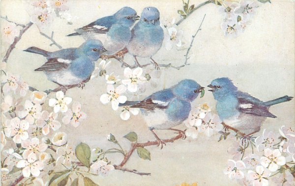 картины с птицами