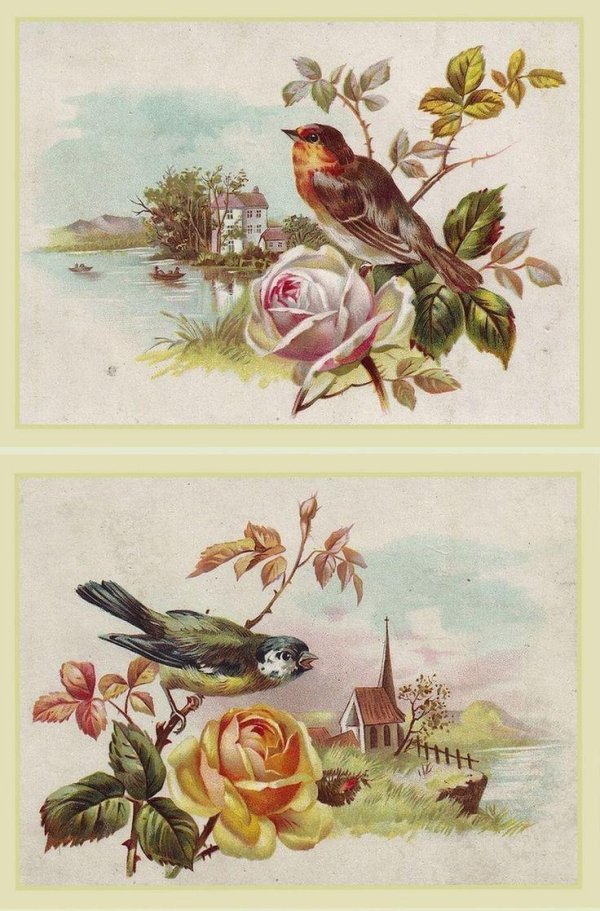 открытки с птичками