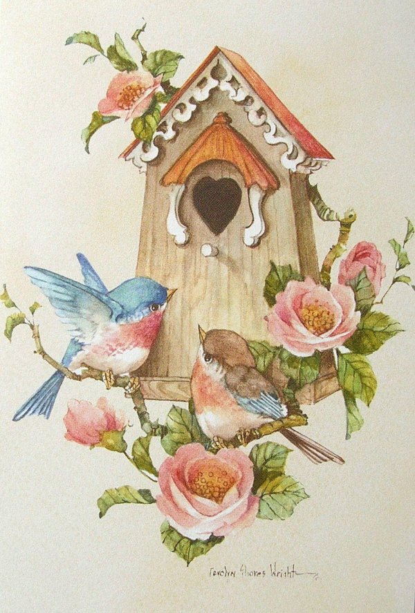 цветные скворечники