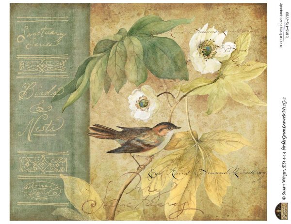 птица картина