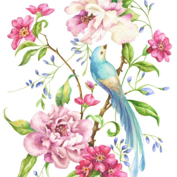 акварельные цветы