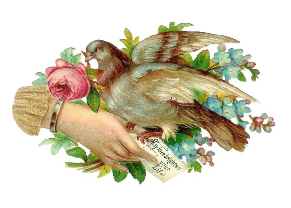 винтажный голубь