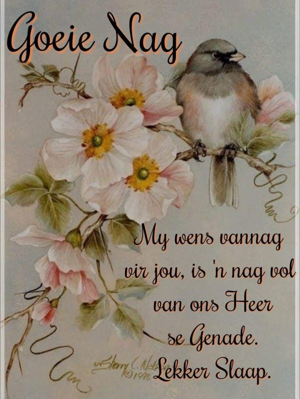 художник шерри нельсон