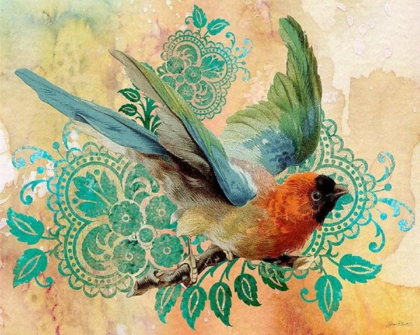 акварельные птицы