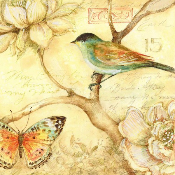 художница susan winget птицы