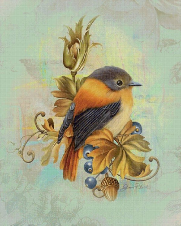 красивые рисунки птиц