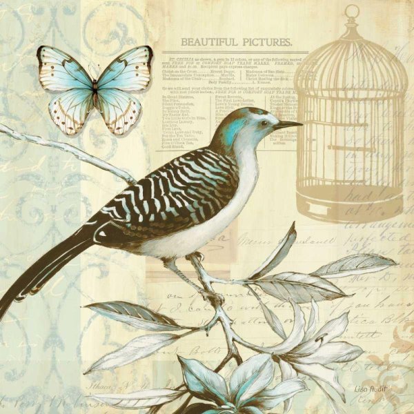 птица иллюстрация