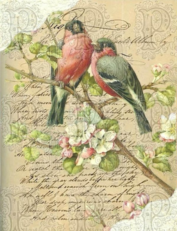 декупажные карты