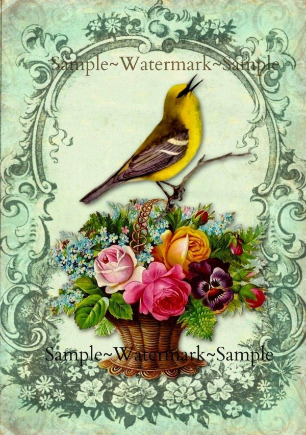 живопись птицы