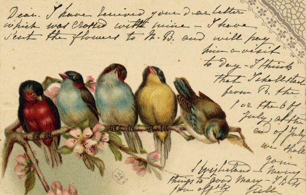 птицы винтаж