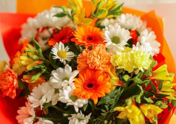 альстромерии букет