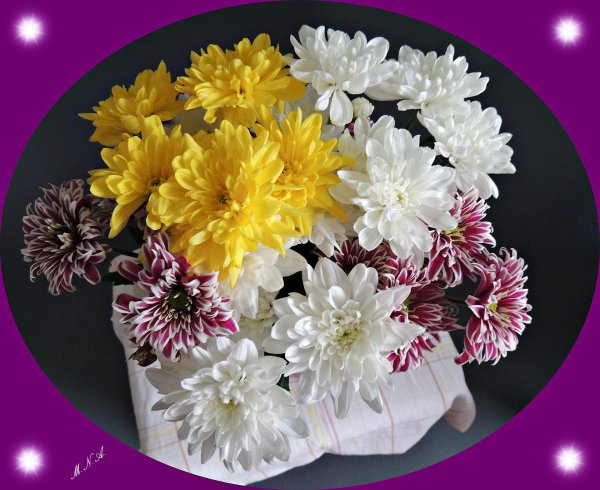 хризантема букетная торжество