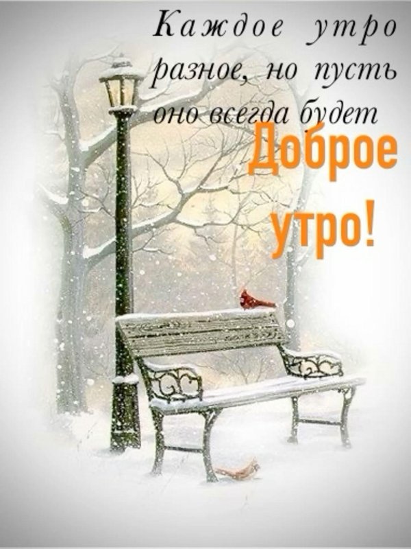 скамейка зимой