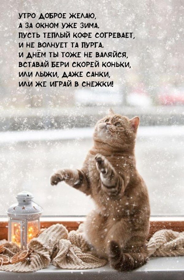 снежного утра