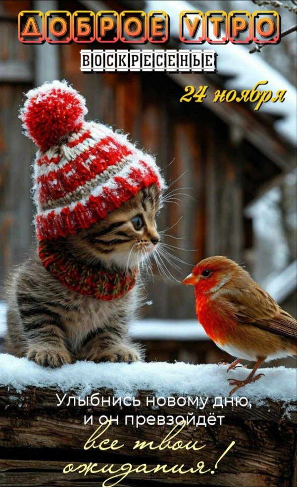 добра утра