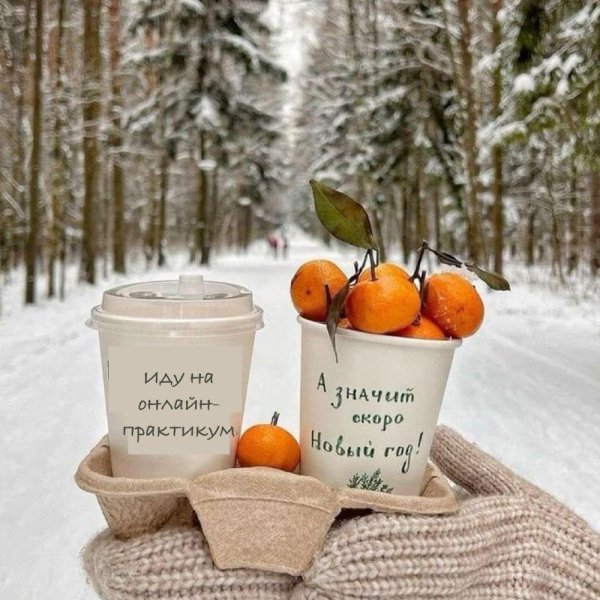 мандарин новый год