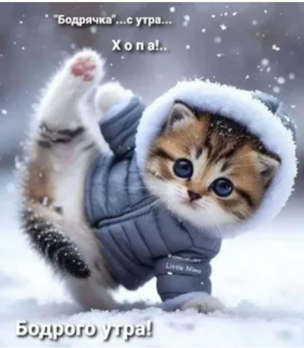 доброе утро зимнее прикольное