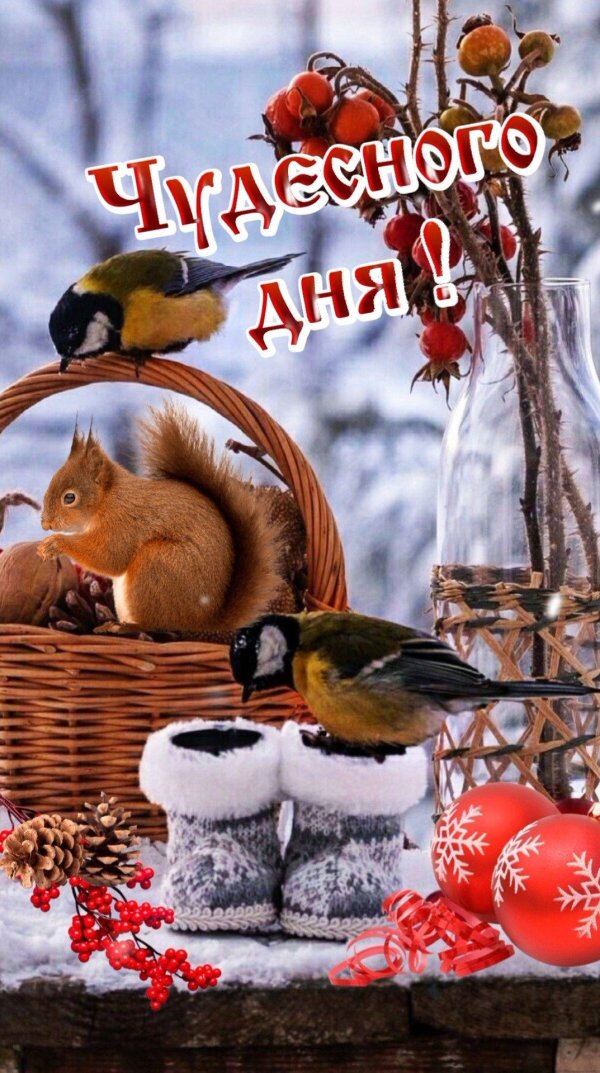доброго дня зимнего