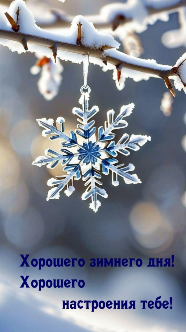 хорошего зимнего дня