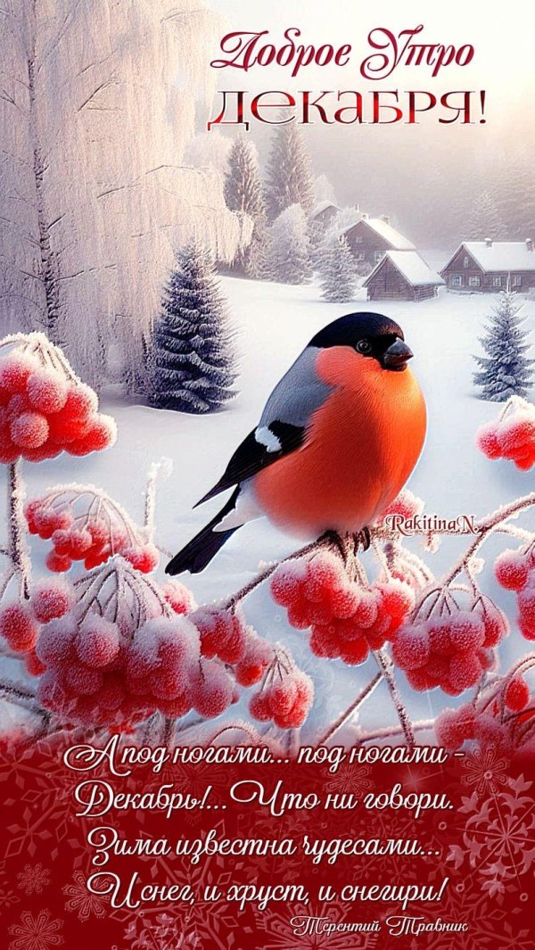 открытка с добрым декабрьским днем