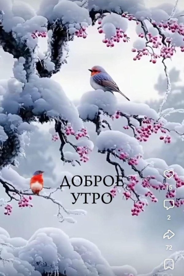 доброго утра зимнего