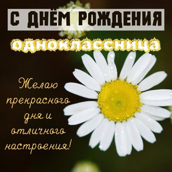 с днём рождения однокласснице красивые поздравления