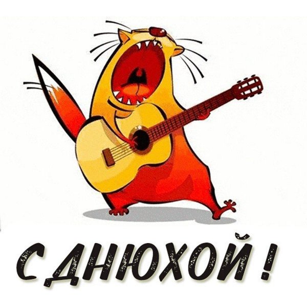 прикольная открытка на день рождения