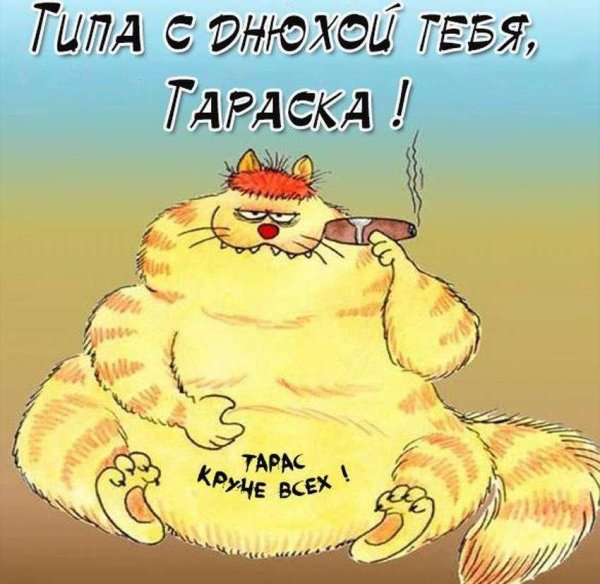 прикольное приветствие