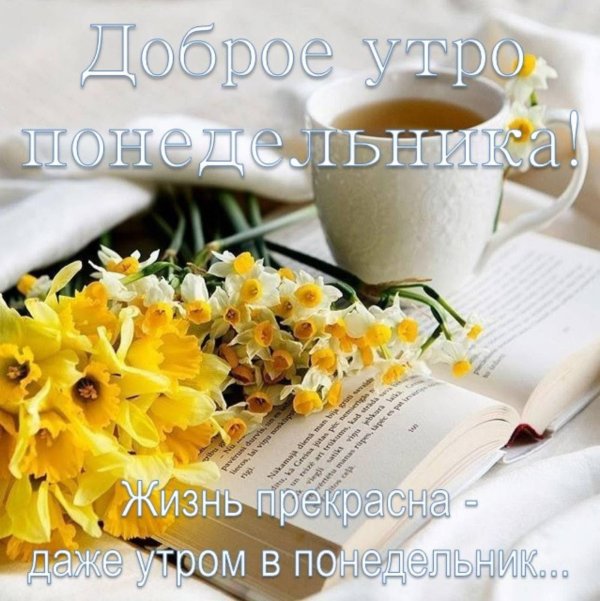 доброго утра в понедельник