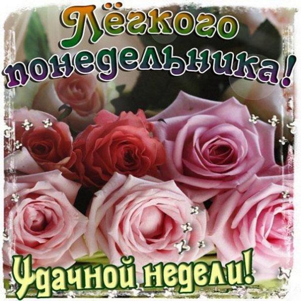 поздравление с понедельником