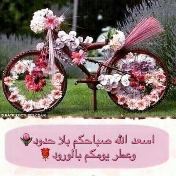 цветочный велосипед