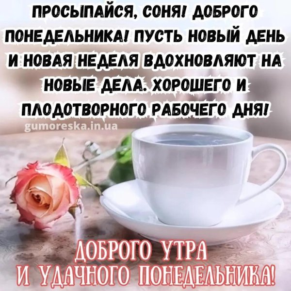 понедельник доброе утро хорошей недели