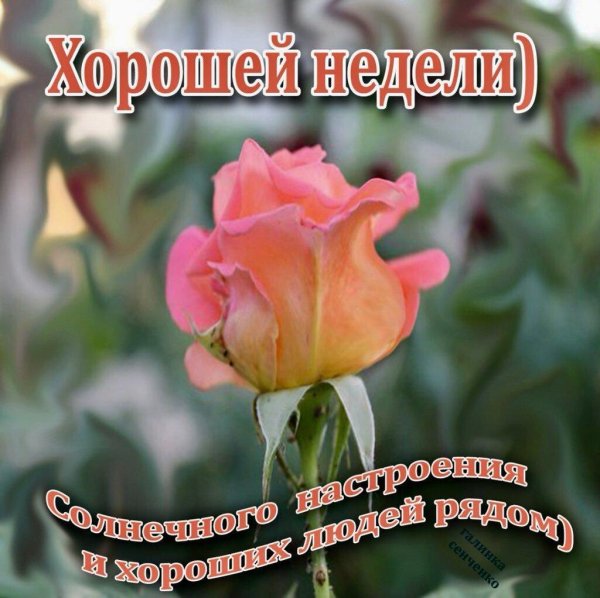 хорошей недели