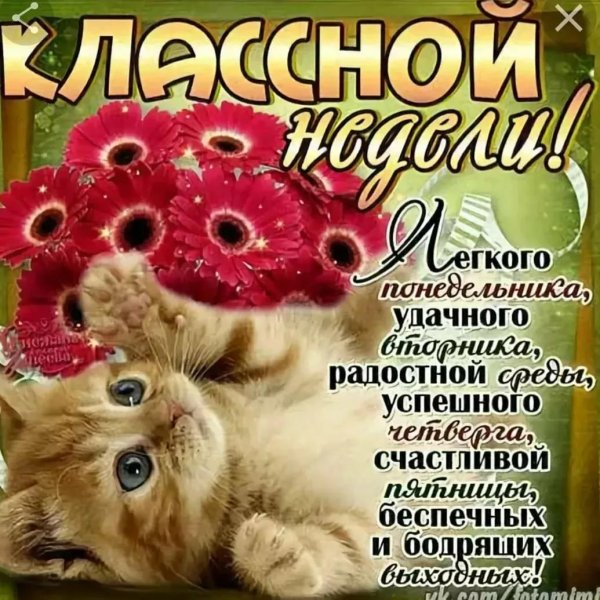 отличного понедельника